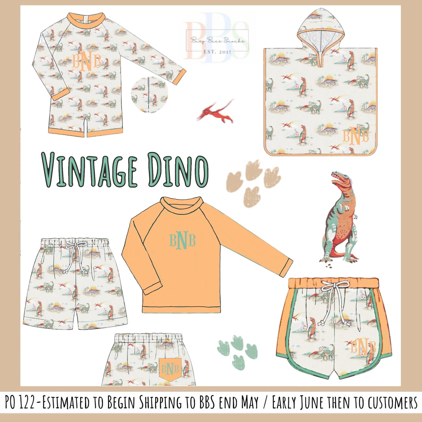 Pre Order 122: Vintage Dinos- Boys Rash Guard Top