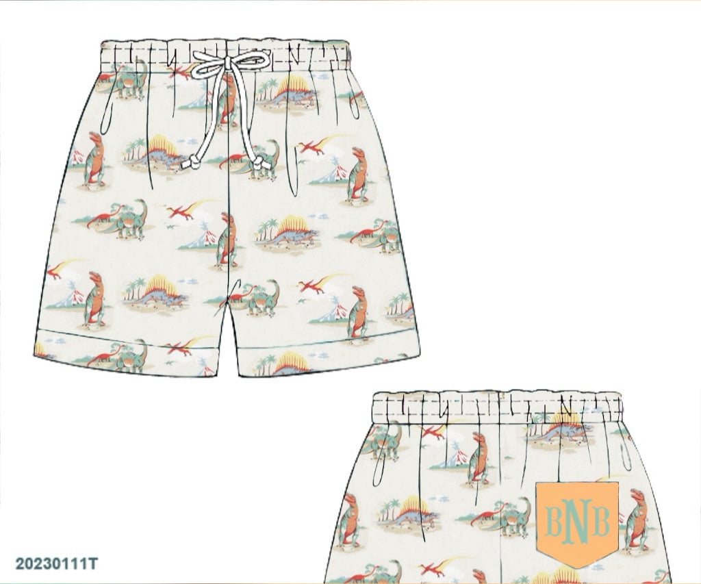 Pre Order 122: Vintage Dinos- Boys Woven Traditional Swim Shorts